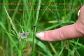 21 06 13_4034_edited-2